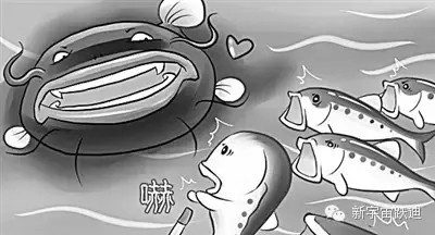 充電市場巨頭博弈:國網(wǎng)撤了 鯰魚來了 鯊魚也來了