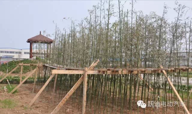 春暖花開、綠色躍迪---躍迪集團綠化工作進行中！