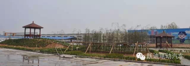 春暖花開、綠色躍迪---躍迪集團綠化工作進行中！