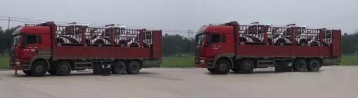 躍迪移動(dòng)城管執(zhí)法站、躍迪電動(dòng)巡邏車大批量發(fā)往首都北京——有躍迪，才安心