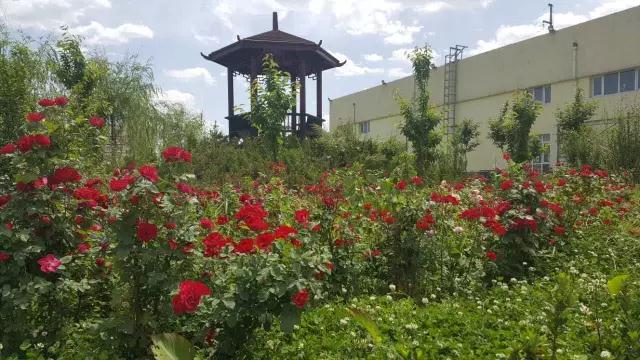 躍迪十年發(fā)展引人贊，百年躍迪輝煌令人盼