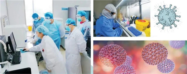 及時(shí)部署、快速檢測——躍迪移動(dòng)PCR核酸檢測方艙在行動(dòng)